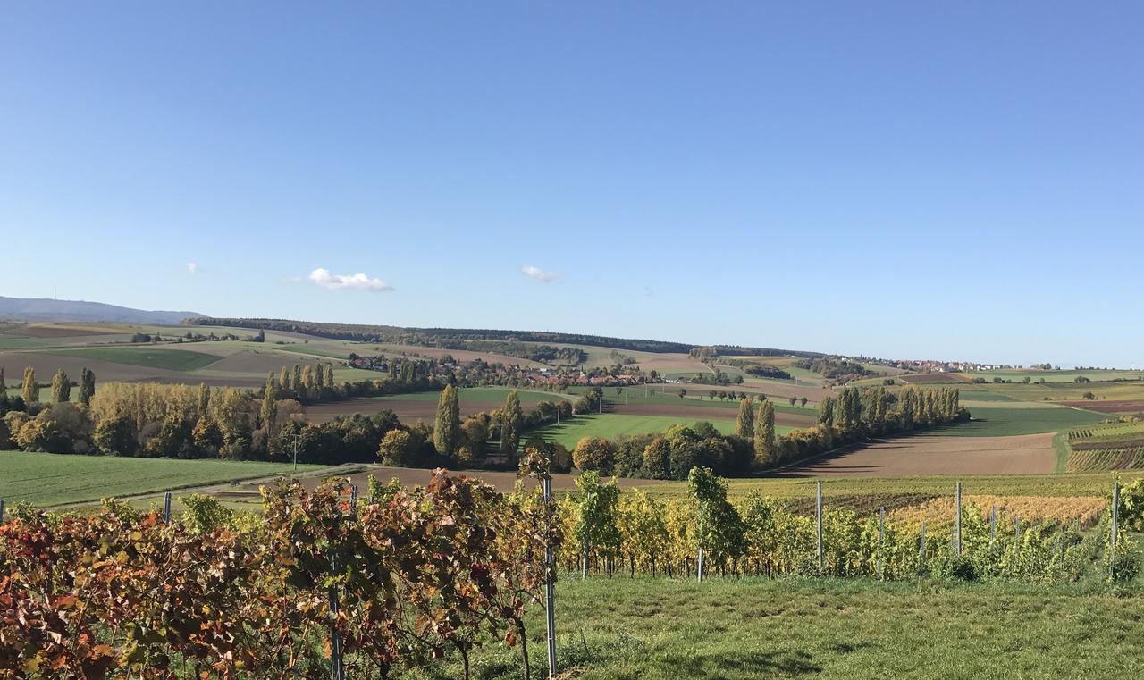 Pension Und Weingut Hirschhof Offenheim Buitenkant foto